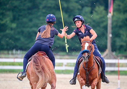 Jeux chevaux