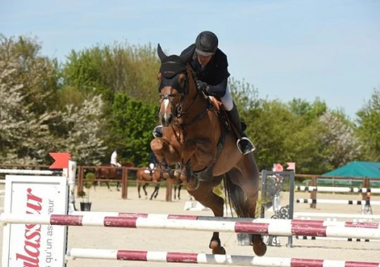 Saut d'obstacle chevaux