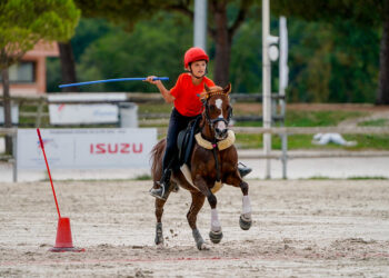 Stage de détection et formations Pony-Games