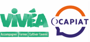 Logo Formation