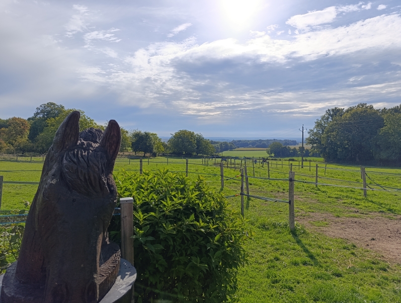 Equi libre 36 paddock