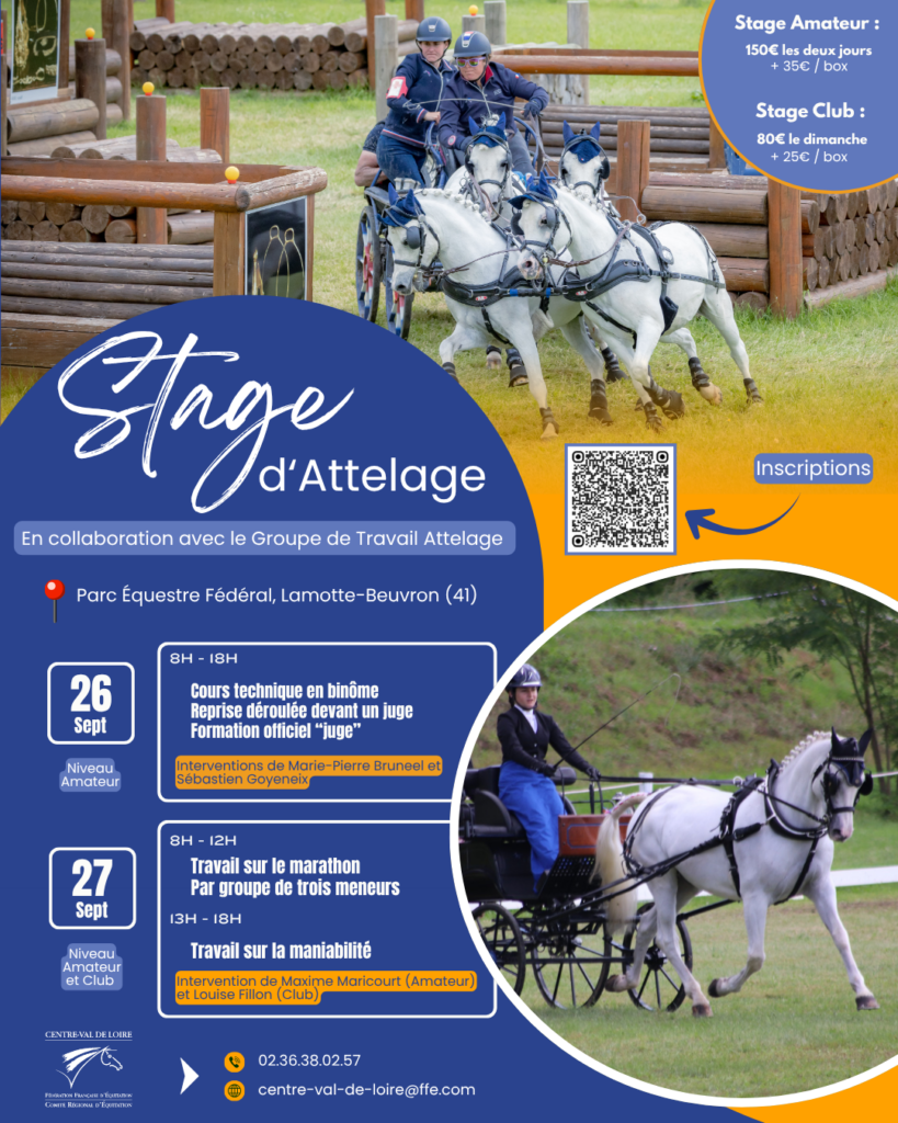 Stage Attelage