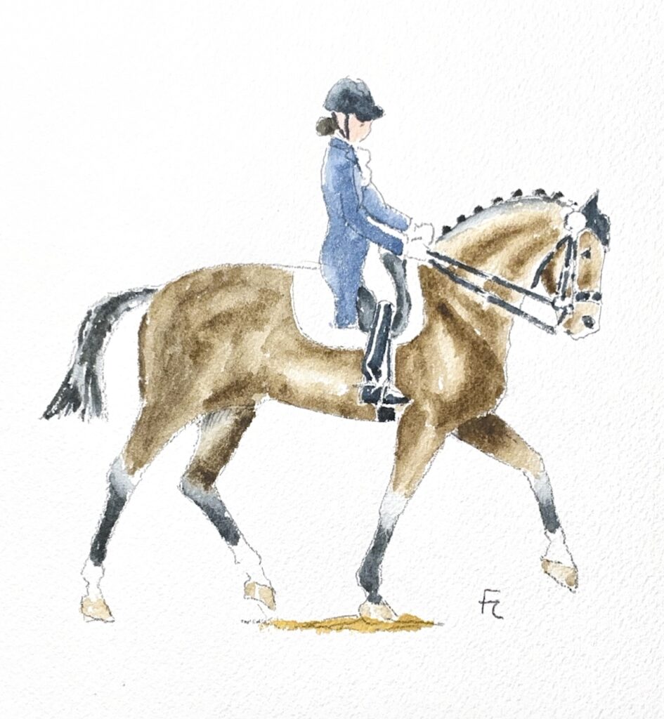 Hunter dressage
