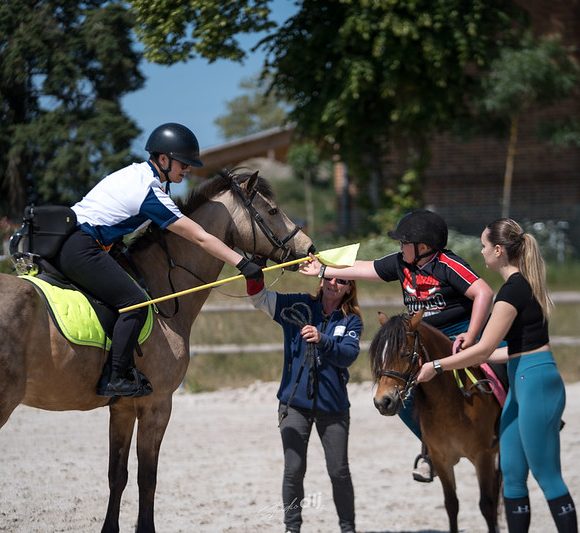 Vidéos et photos des évènements - Comité Régional d'Equitation Centre ...